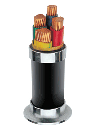 高壓電纜型號:交聯聚乙烯絕緣電力電纜